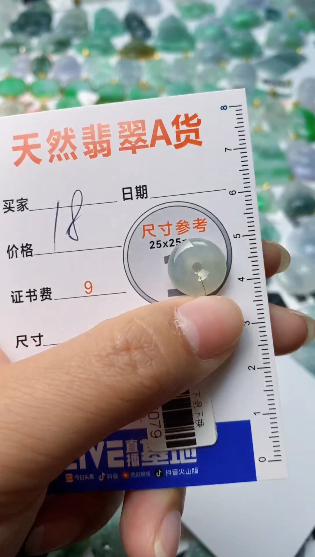 【闪购商品】翡翠颈饰未镶嵌1