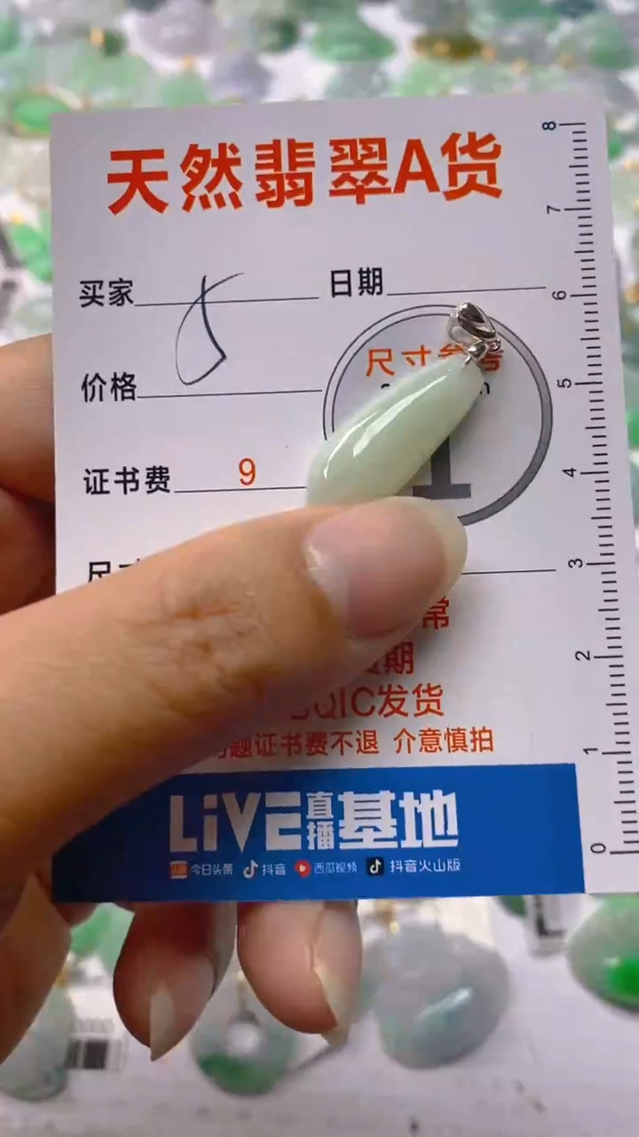 【闪购商品】翡翠颈饰银S925镶嵌4