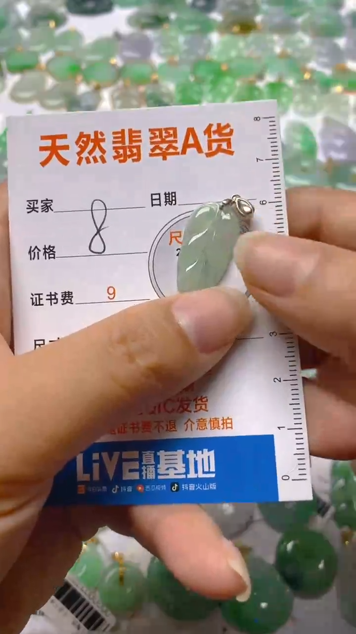 【闪购商品】翡翠颈饰银S925镶嵌1