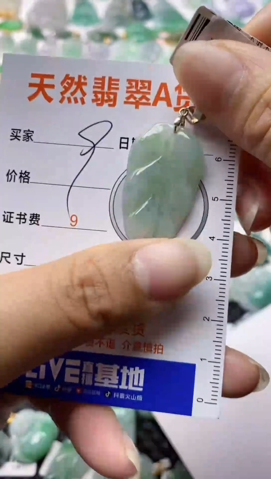 【闪购商品】翡翠颈饰银S925镶嵌1