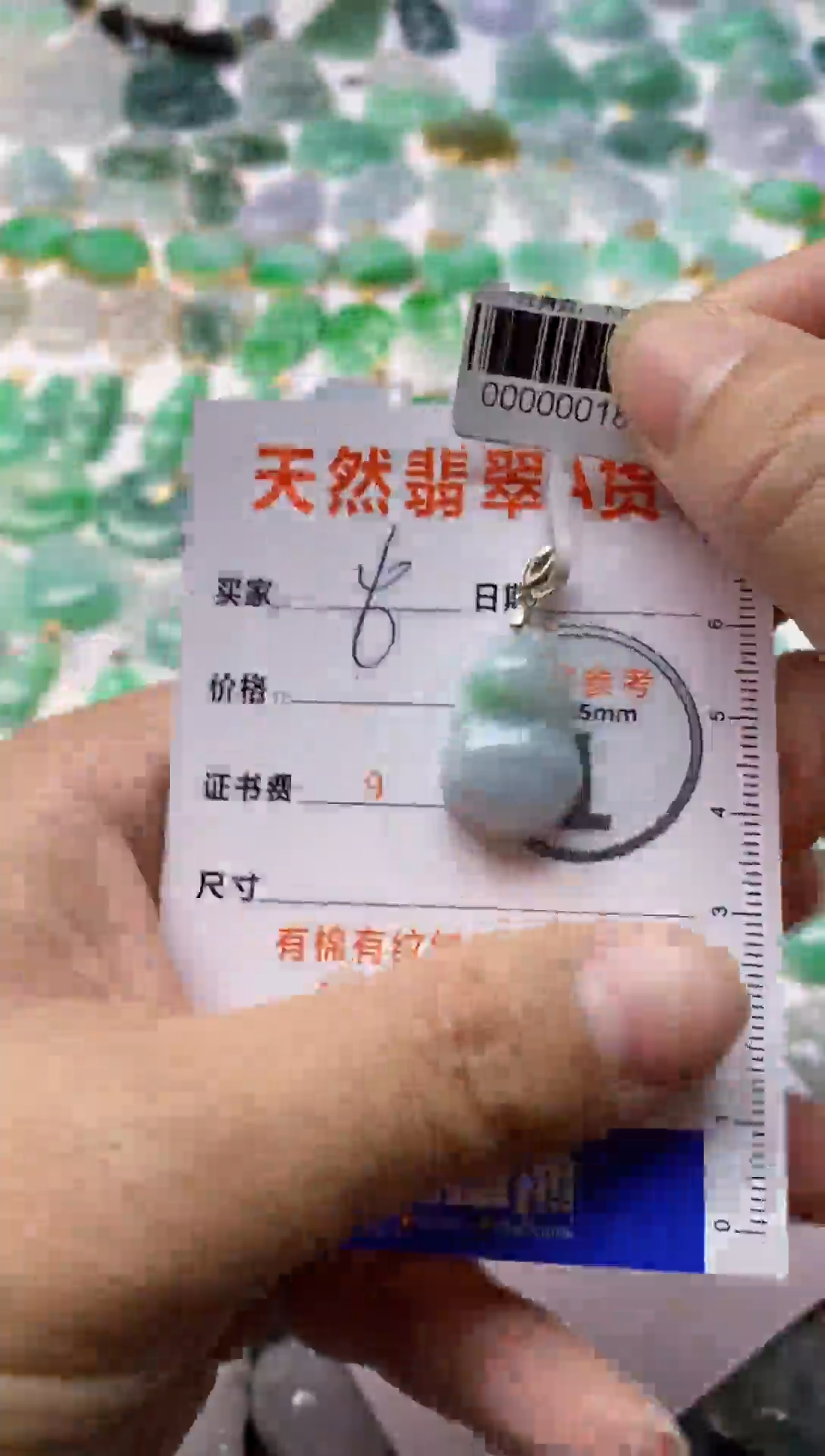 【闪购商品】翡翠颈饰银S925镶嵌1