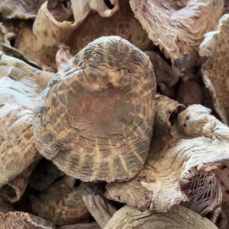 【青头菌】 新货新菇干货珍品云南山珍特产菌子