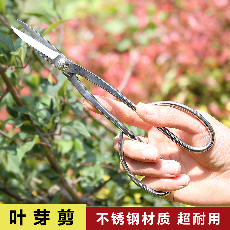 辛禾叶芽剪盆景造型制作小枝剪不锈钢尖头剪刀插花园艺多功剪刀