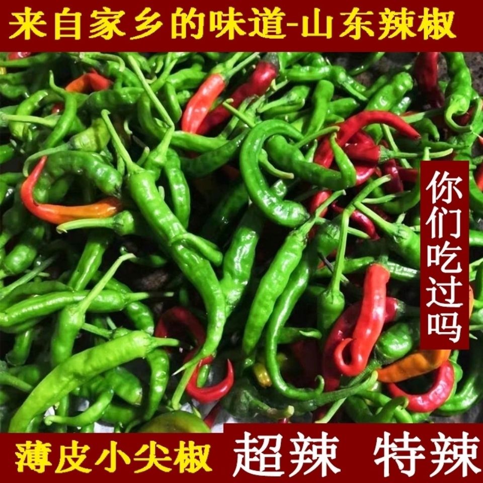 现货山东枣庄本地土辣椒薄皮小尖椒特辣新鲜非湖南邳州辣椒1斤5斤