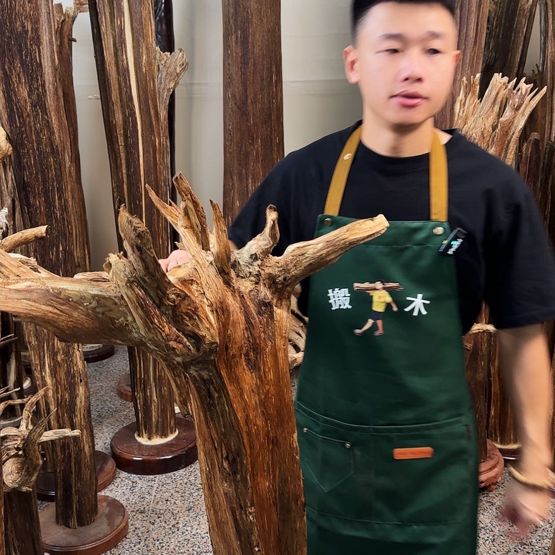 沉香原料工艺品摆件➕底座