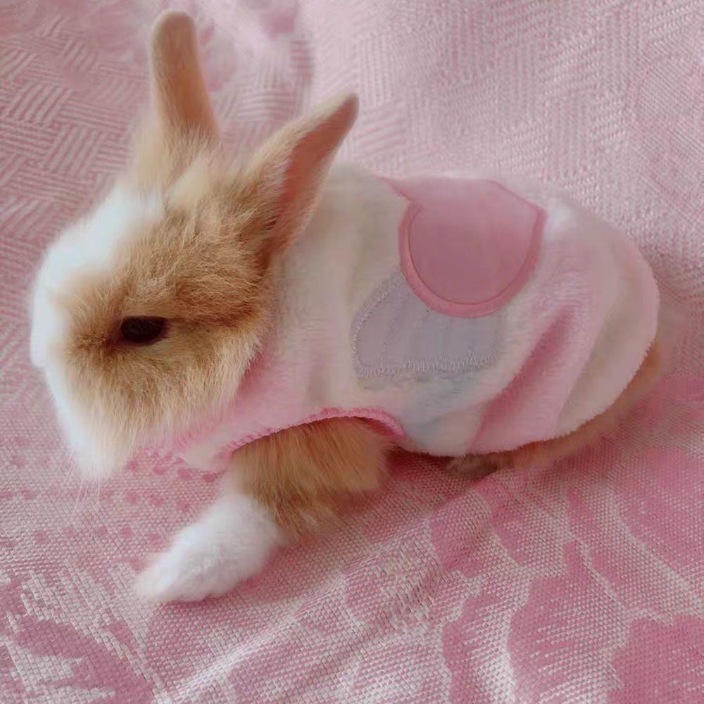 宠物兔子衣服秋冬保暖衣服荷猪侏儒兔衣服兔兔垂耳兔幼兔子用品