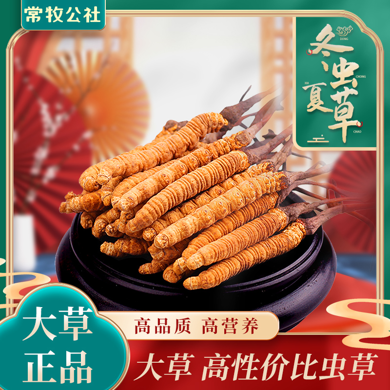 【扎西家】2025冬虫夏草 精品中大草 滋补养生头茬足干