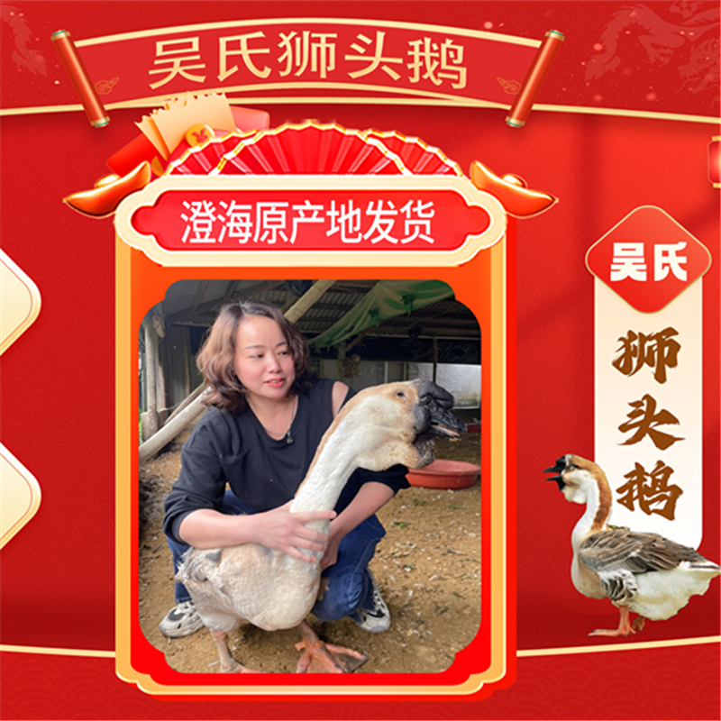 吴记【6只】小狮头鹅肉 肉质鲜嫩