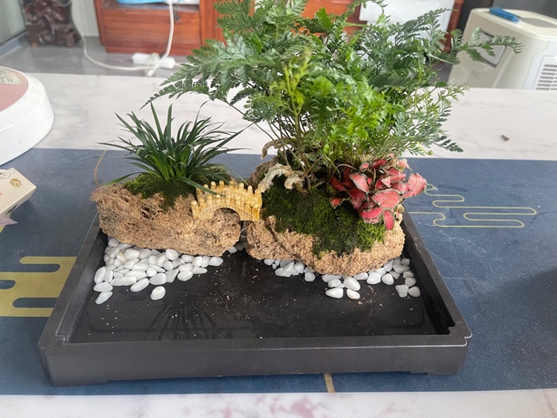 精品摆件拍前跟主播确认商品，私拍随机发货