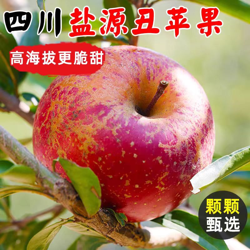 t大凉山盐源丑苹果当季新鲜红富士苹果脆甜清香孕妇辅食整箱批发