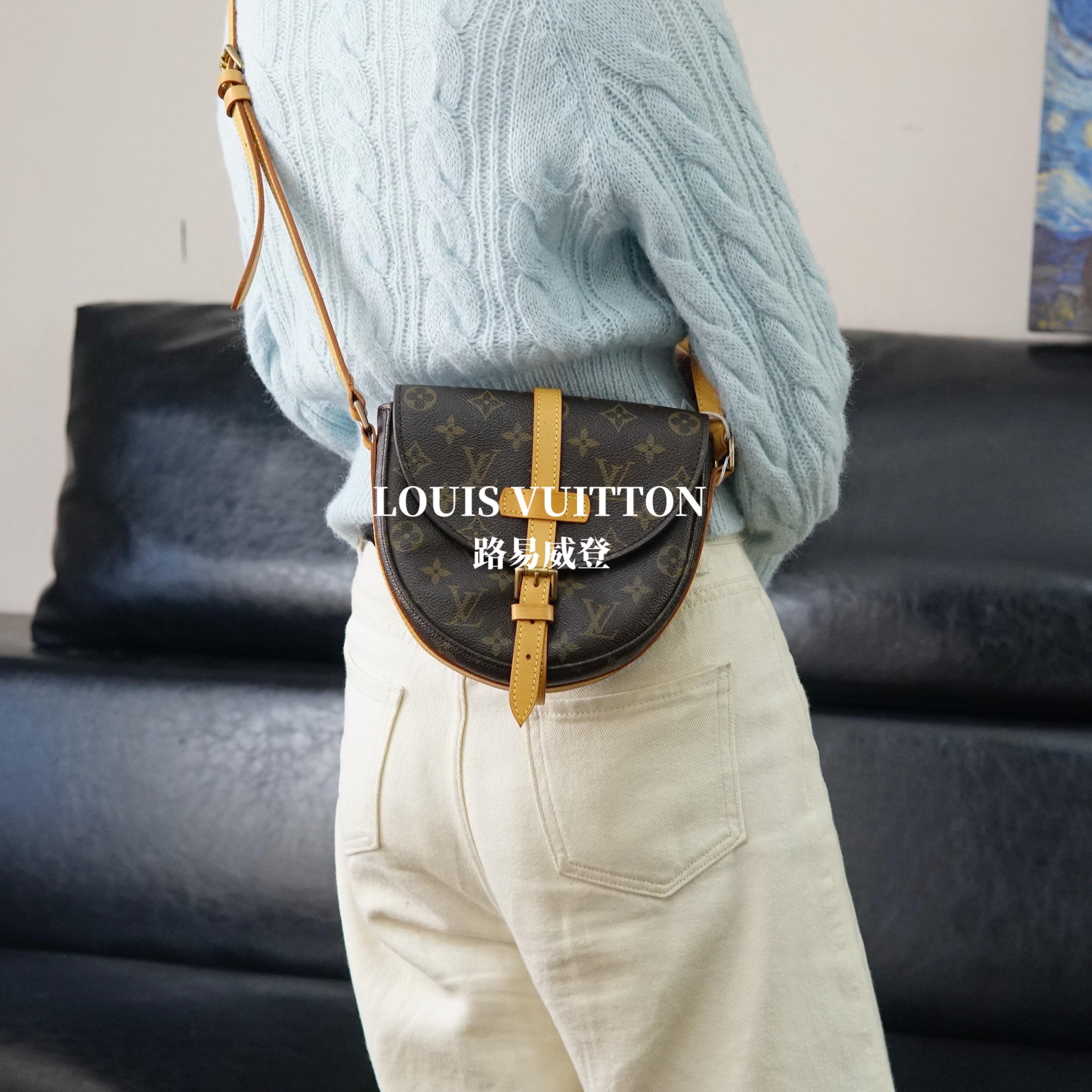 95新 LouisVuitton/路易威登 盾牌包（小）/pj09208041/8041