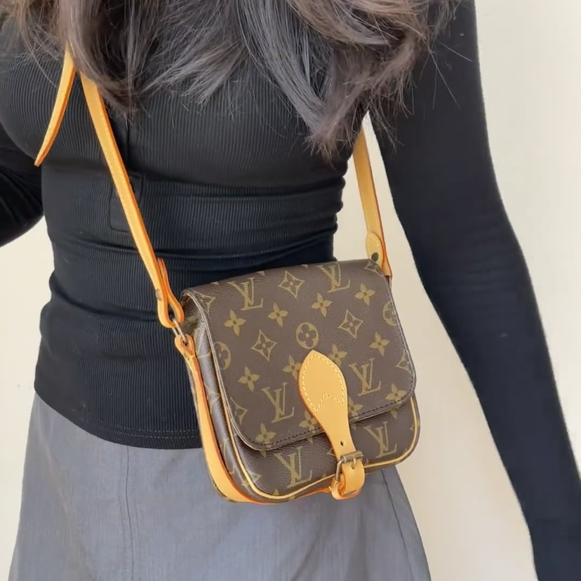 95新 LouisVuitton/路易威登 LV 马鞍包（小）/pj11224388/4388