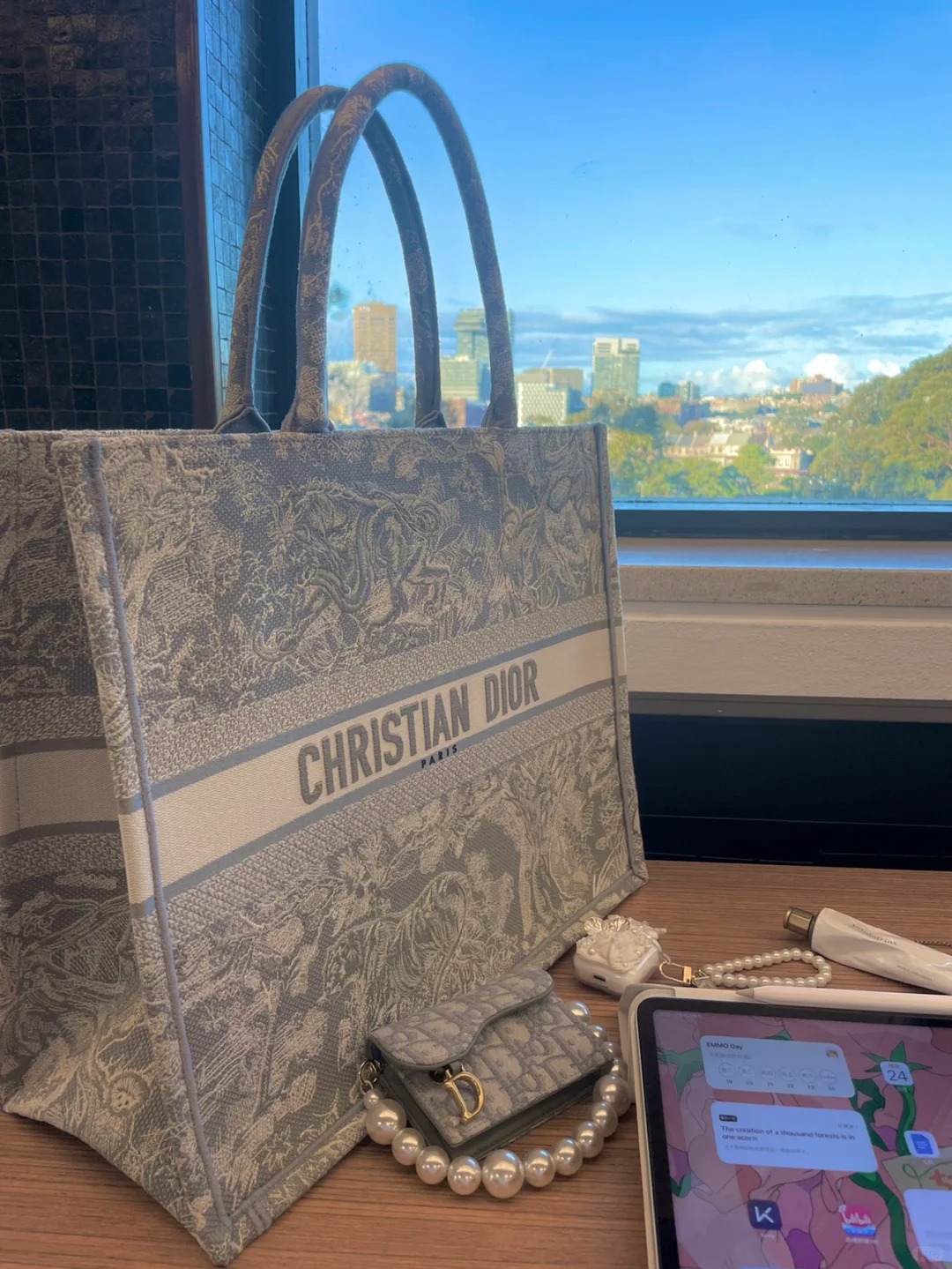 95新 DIOR/迪奥 dior 动物园中号tote包灰底白花 /公价无/甄选