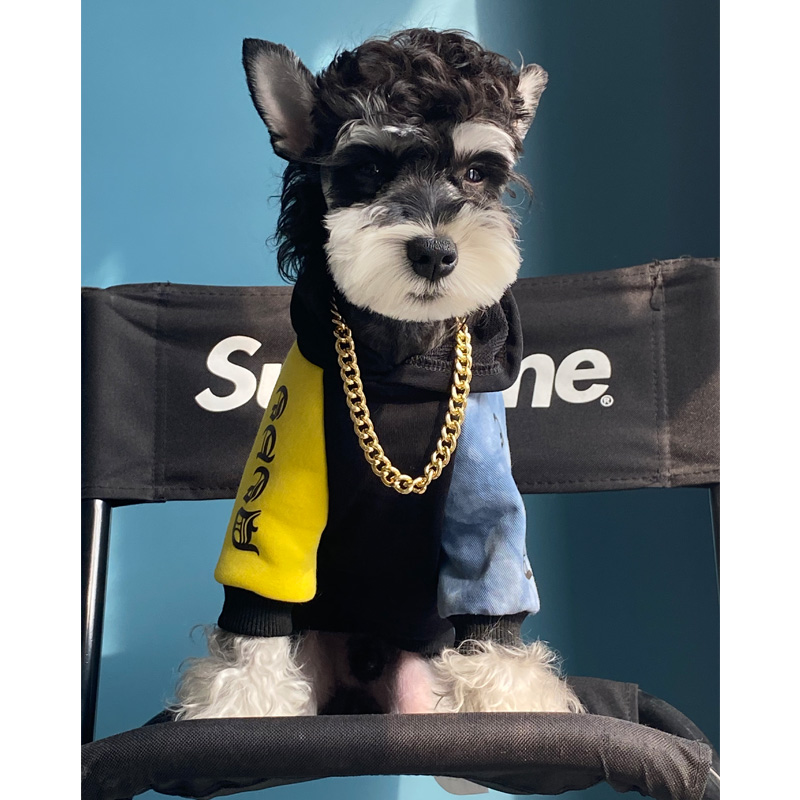 宠物猫咪狗狗衣服 春秋装  中小大型犬防掉毛空调服 连帽拼色卫衣