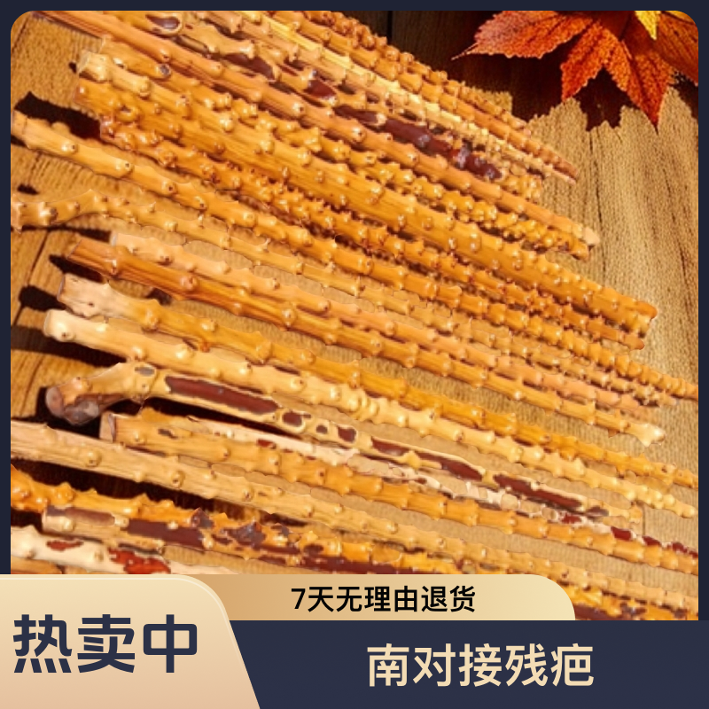 对节木拐杖登山杖手杖健身把玩收藏佳品