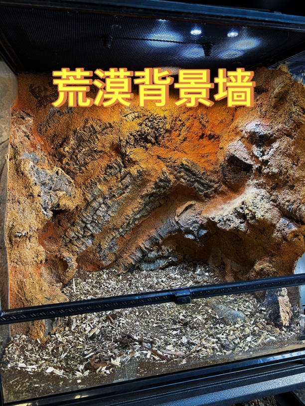 鬃狮豹纹石龙子宠物蛇爬宠造景背景板天然橡树皮DIY材料造型成品
