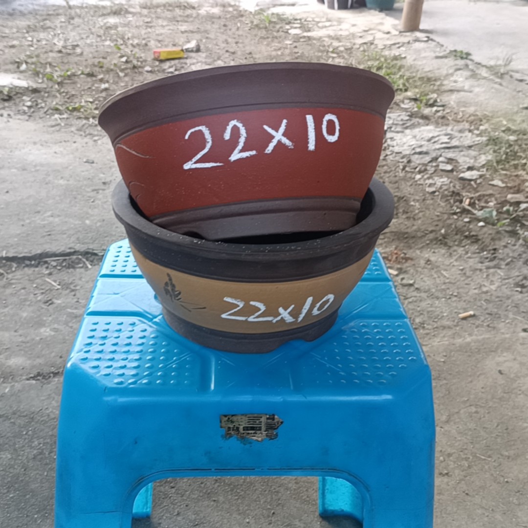 紫砂花盆有无孔菖蒲文竹拇指盆大小号防烂根菖蒲文竹拇指盆大小号