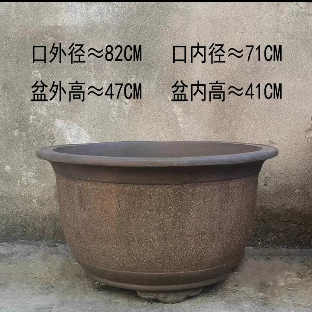 多肉花盆紫砂有无孔菖蒲文竹拇指盆大小号防烂根菖蒲文竹拇指盆大