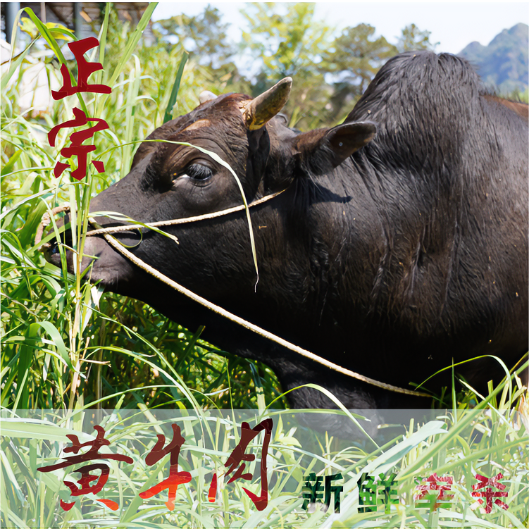【直播间称重改价】农村土黄牛新鲜宰杀顺丰包邮
