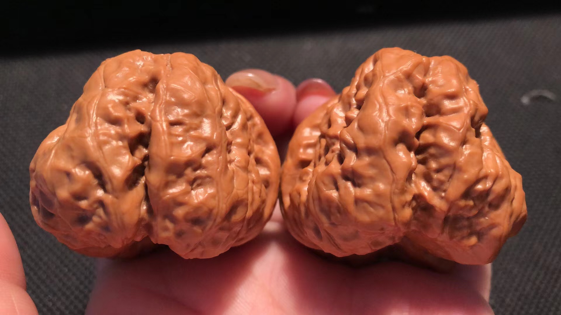 蛤蟆头狮子头油性足