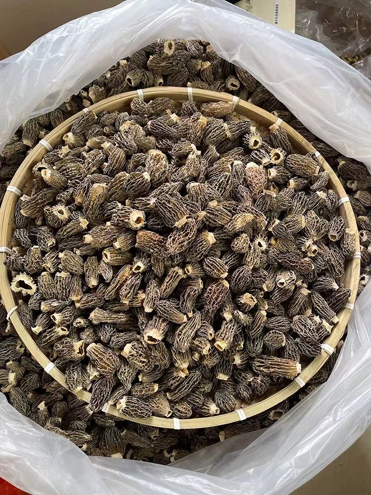 膳品同源 小号野羊肚菌 厚肉无沙 