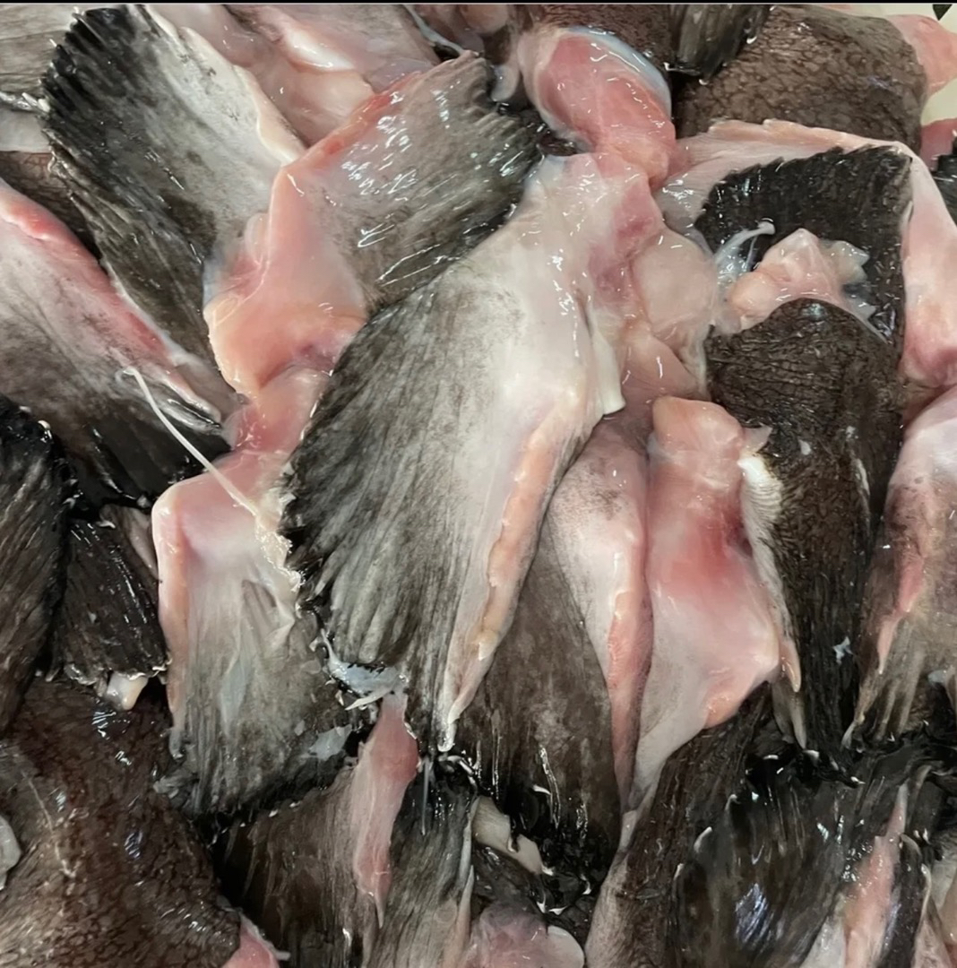 大连野生安康鱼 鱼翅膀 4斤