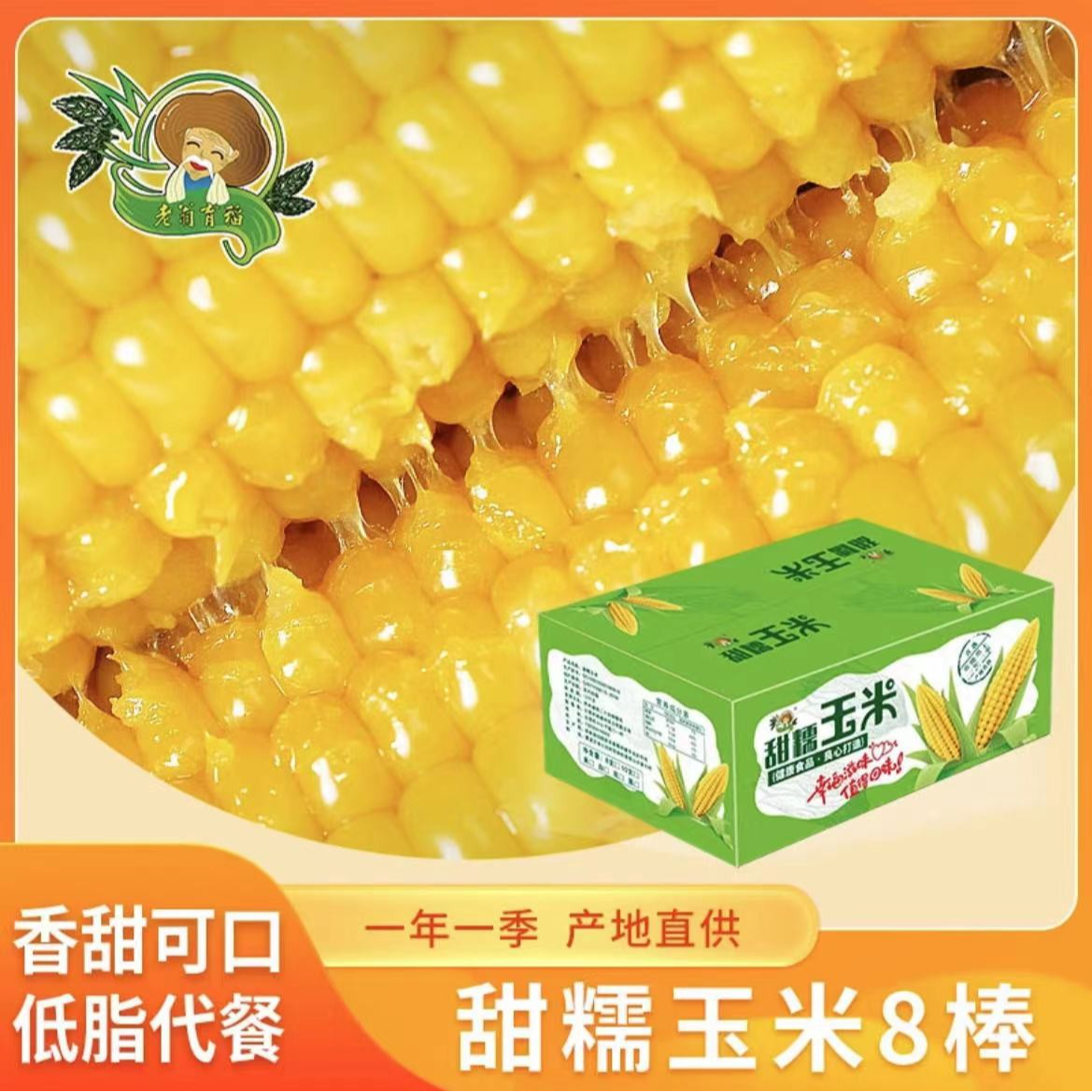 老翁育稻2025年头茬黑土地种植精选甜糯玉米8棒优质自然采摘香甜