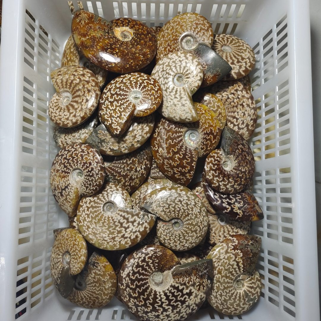 海螺创意吊坠摆件工艺品摆件精美工艺品手把件链接