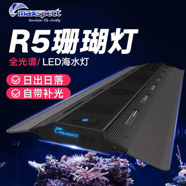 新款迈光全光谱海水珊瑚LED灯 海缸灯R5 50W 120W 160W 200w 300W