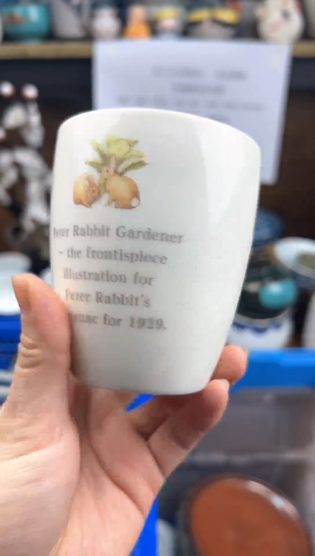 【闪购商品】陶瓷只买不看