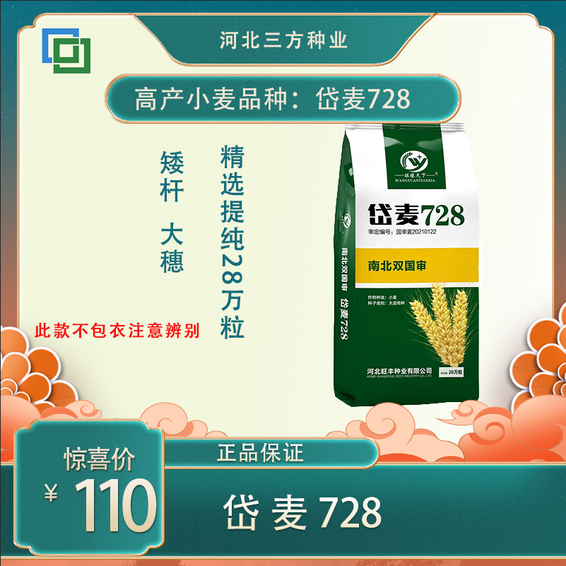 岱麦728 好种子更信赖 高产小麦品种 不包衣