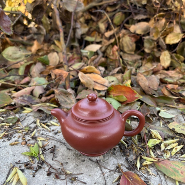 宜兴紫砂壶手工茶壶掇只孟臣小品100毫升原矿小煤窑朱泥