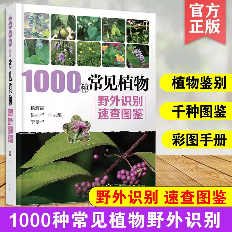 1000种常见植物野外识别速查图鉴  图解中草药大全