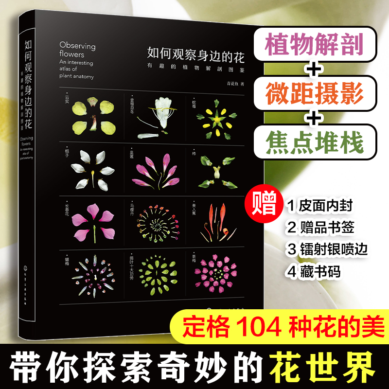 如何观察身边的花 有趣的植物解剖图鉴 日常普通植物辨识技巧