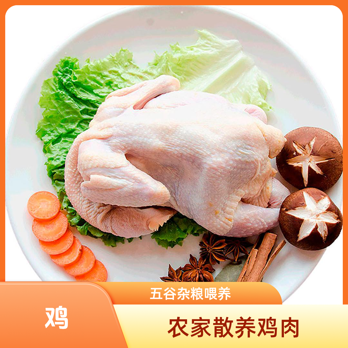 土母鸡肉农家散养鸡肉