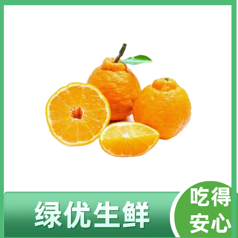 精品耙耙柑约500g柑橘四川省