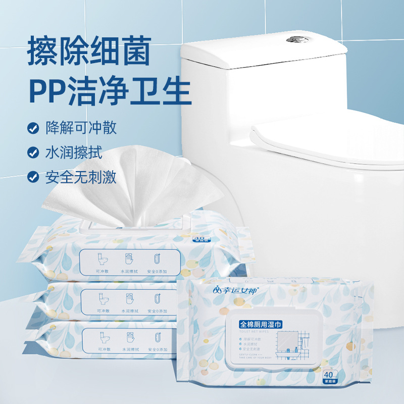 西邮哥【新疆包邮】湿厕纸家庭实惠装洁厕湿巾私处男女湿厕巾40抽