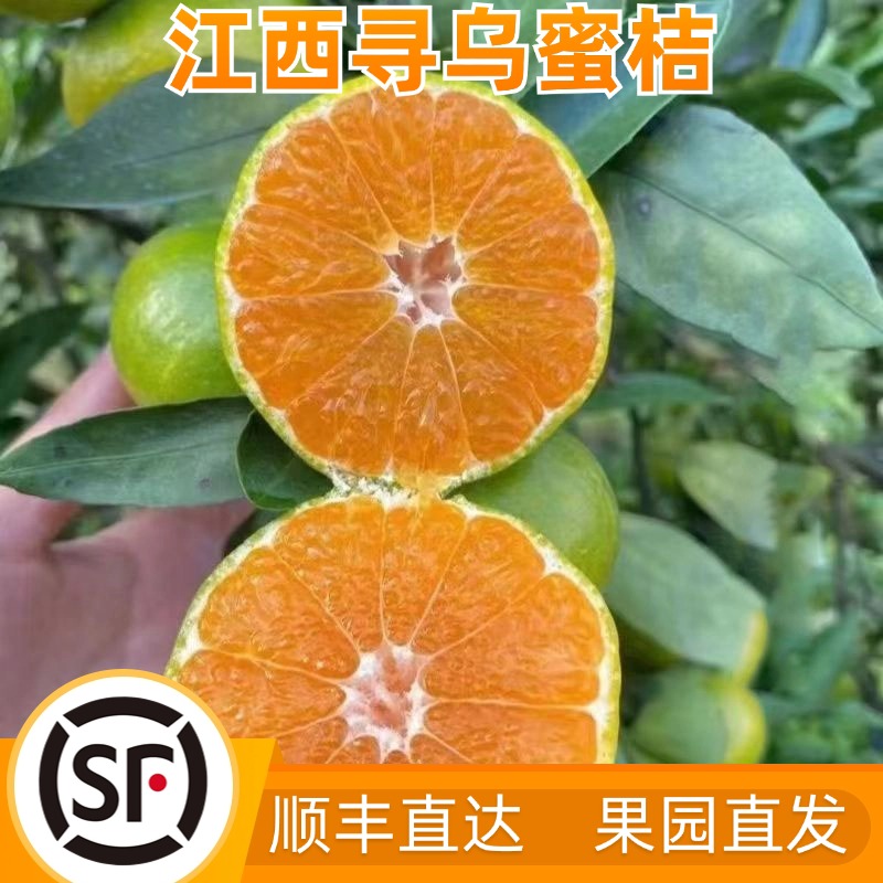 【顺丰上门】赣南寻乌蜜桔青皮无籽孕妇水果产地直发酸甜多汁