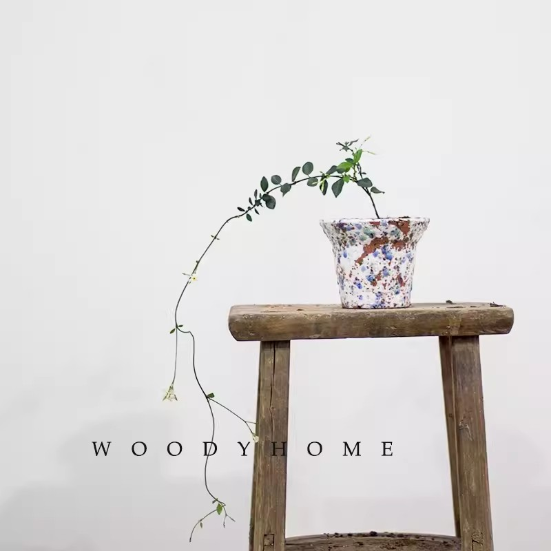 风车茉莉盆栽大苗懒好养藤垂丝爬藤花卉阳台植物四季开花庭院易活