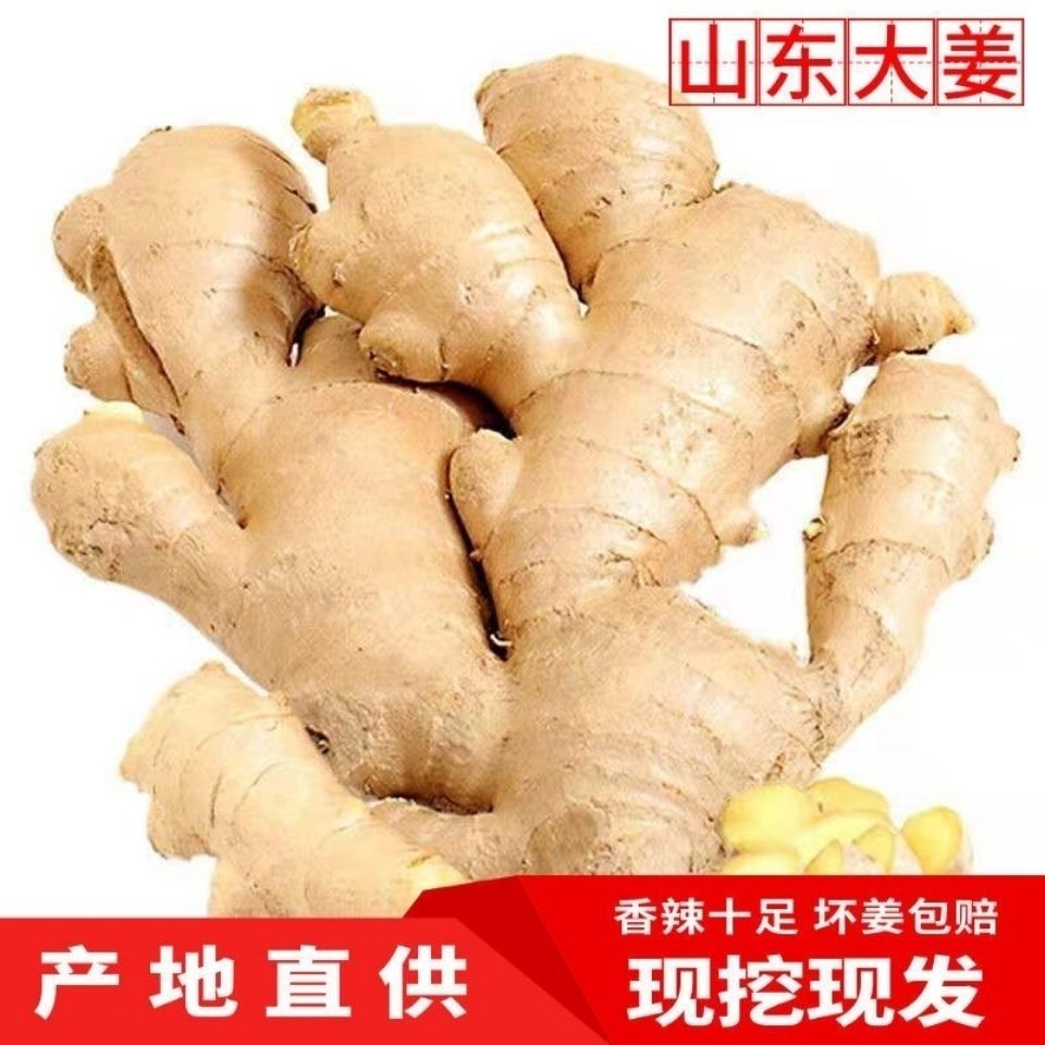 生姜老姜大姜干净生姜蔬菜大黄姜月子姜生鲜姜山东姜1g包赔