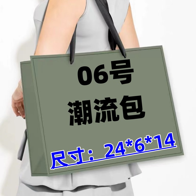 《06号》百搭网红经典时尚潮流包女士