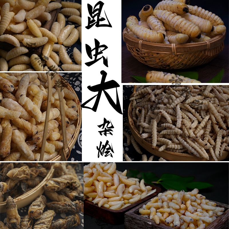 云南特产可食用昆虫冰冻竹虫虎头蜂马蜂柴虫下酒菜自由组合