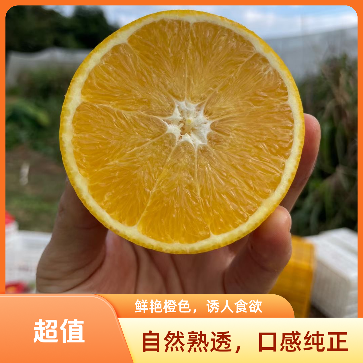 广西脐橙新鲜橙子广西产地直发超甜皮薄多汁精装水果礼盒