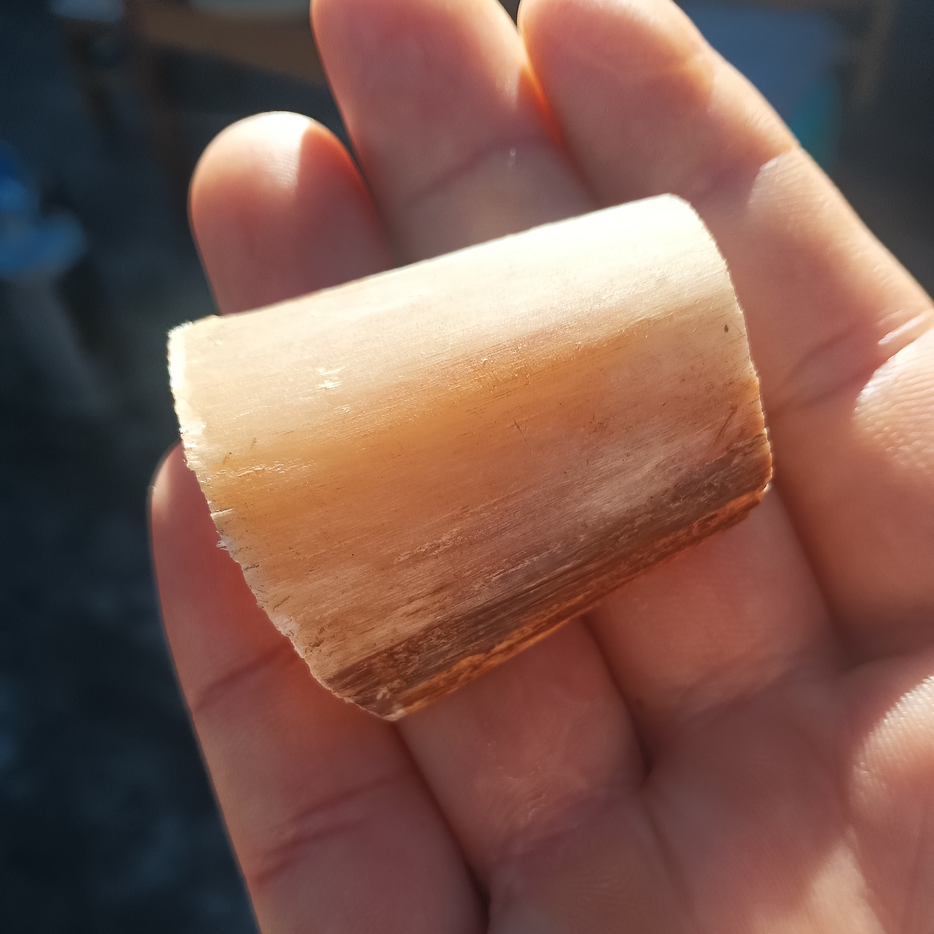 鑫腾土特产    牛     角    非香菇