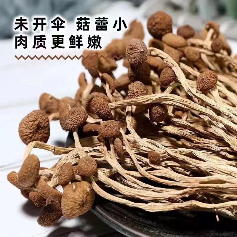 高山茶树菇 正宗农家特产美味 当季鲜货 脆嫩鲜香不开伞无硫干货