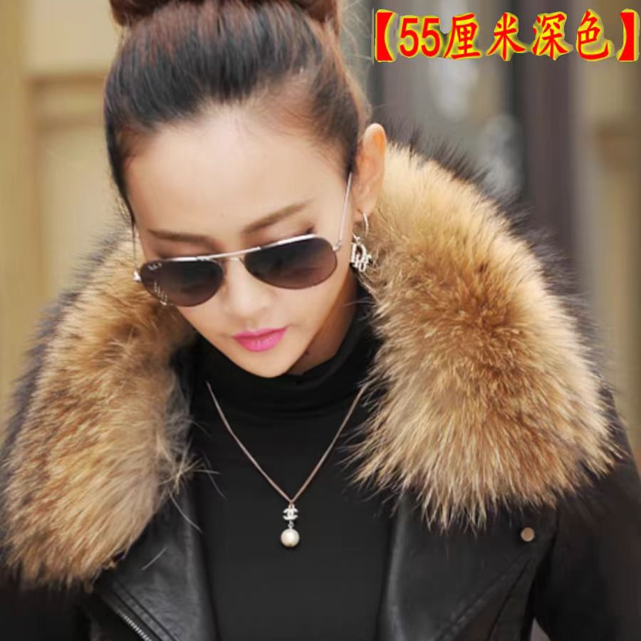 2024貉子方领（男女衣领通用）时尚款