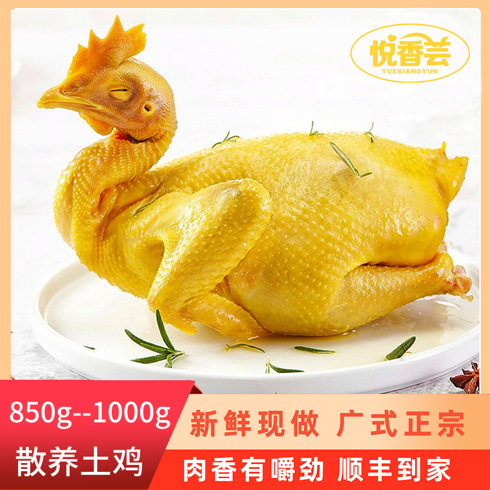 悦香芸丨农家古法五指毛桃盐焗鸡整只鸡熟食手撕真空包装即食