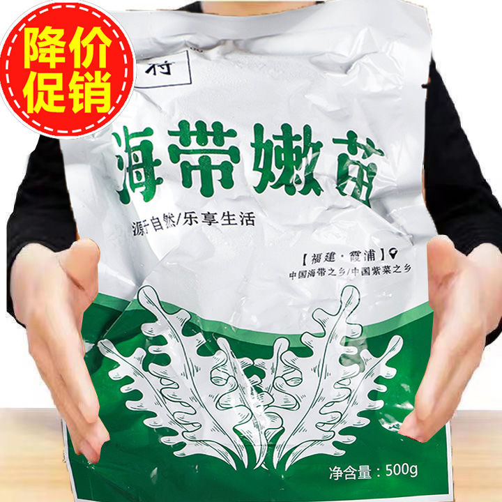 【霞浦海带嫩苗】鲜嫩品质产品煲汤新鲜特产深海裙带菜凉拌菜菜芽
