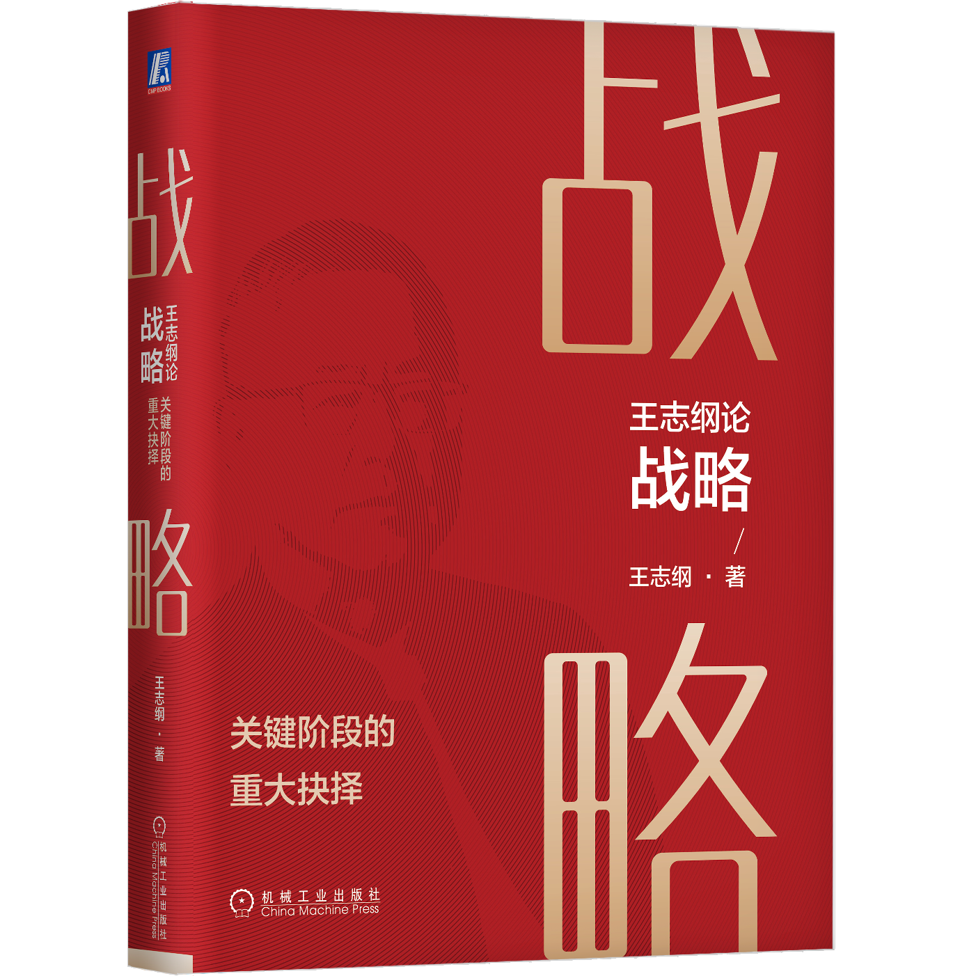 王志纲论战略:关键阶段的重大抉择 官方正版 战略认知战略分析
