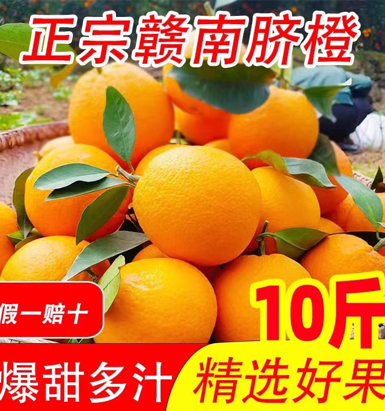 江西赣州寻乌县10斤赣南脐橙新鲜当季水果甜橙精品